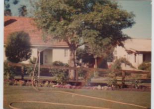 4 banksia street front yard